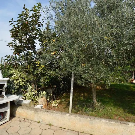 In 17 Apartment Pula